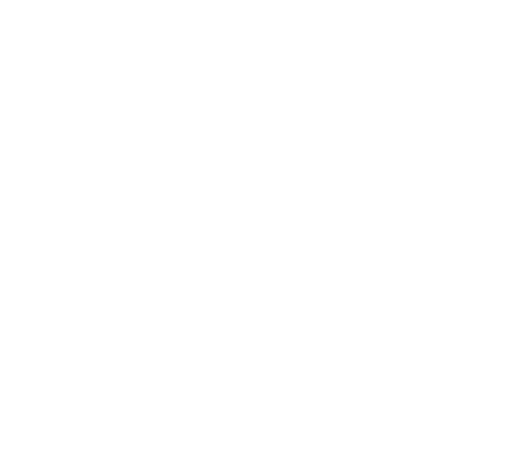 Physical Therapist